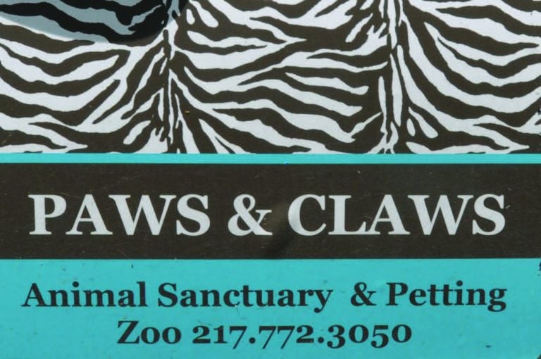 Paws-and-Claws-768x510.jpg