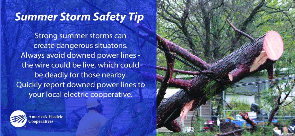 Downed Lines Safety